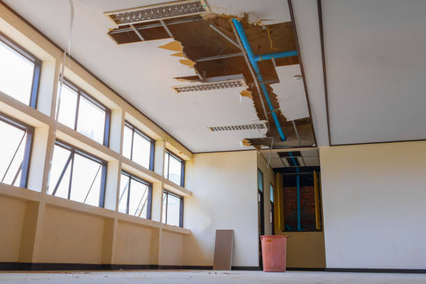 Best Residential water damage restoration  in White Knoll, SC