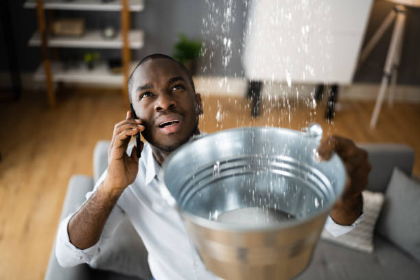 Best 24-hour water damage restoration  in White Knoll, SC