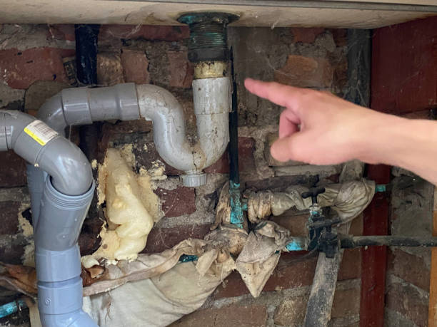Best Fire Damage Restoration  in White Knoll, SC